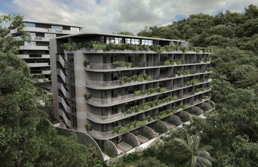 Sunny Moon Third Edition – Nai Harn